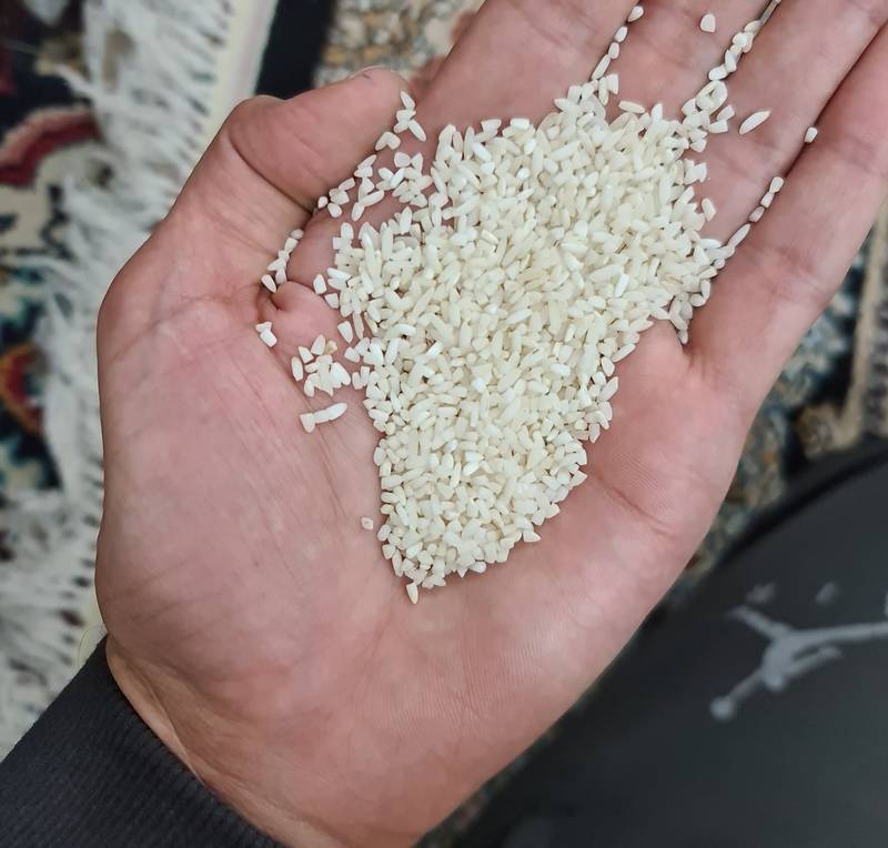 قیمت سرلاشه عنبربو در اهواز