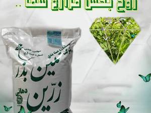 فروش و قیمت بذر یونجه در تبریز