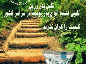 فروش و پخش انواع بذر یونجه 