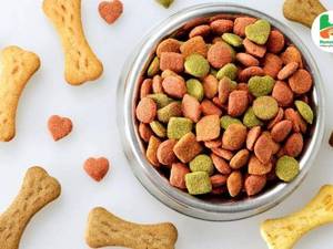 خمیر بیوتین و زینک گربه دکتر نیچرز
