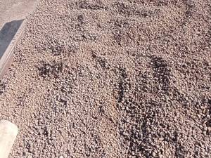 پوکه نخودی برای ساختمان اصفهان