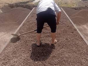 تولید کننده پوکه نخودی در خرم آباد
