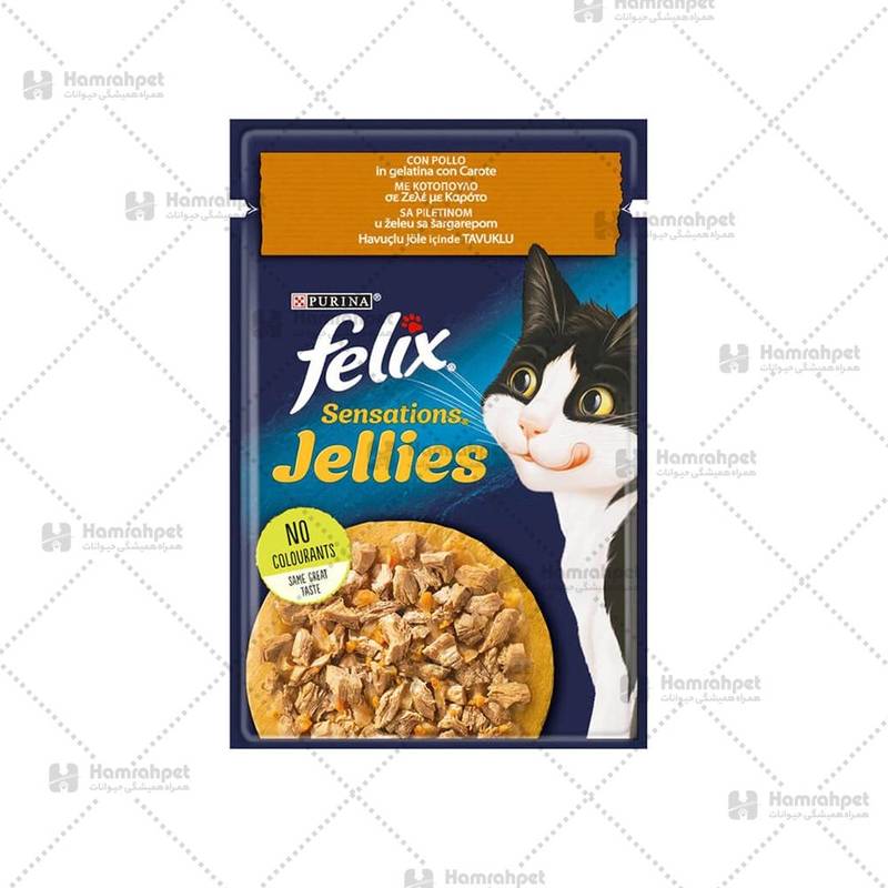 غذای گربه پوچ فلیکس مرغ