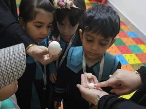 مهد قرآنی نمونه در شریعتی تهران