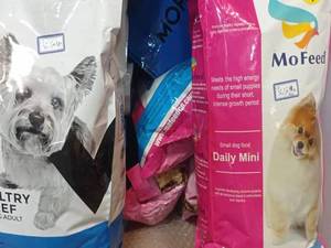 فروش انواع غذای سگ و گربه در رشت