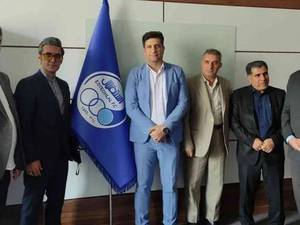 هلدینگ سرمایه گذاری شاهان رشت