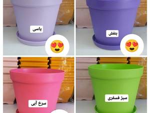 خرید گلدان رنگی در تبریز