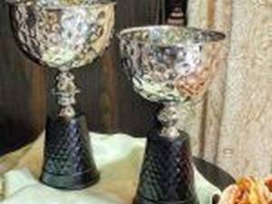 ظروف پذیرایی چکشی سیلور و طلایی