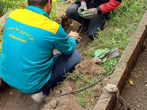 بازرسی وارزیابی ایمنی برق شهرک صنعتی تالش