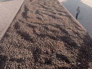 پوکه نخودی مناسب کف سازی