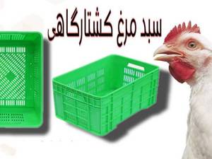 فروش سبدمرغ کشتارگاهی درجه یک