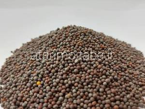 قیمت و خرید خردل سیاه