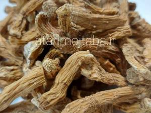 خرید و قیمت گیاه شقاقل 