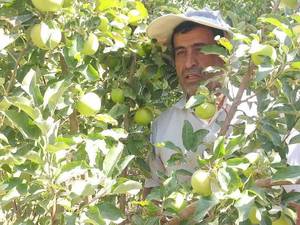 نهالستان کوثر در اصفهان