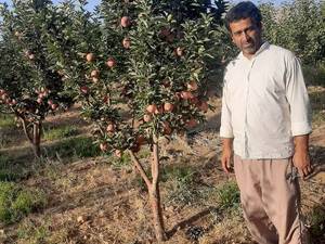 نهالستان کوثر در اصفهان