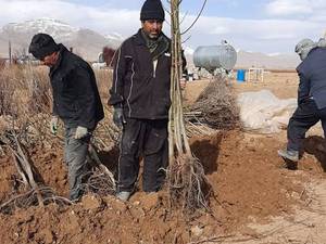 نهالستان کوثر در اصفهان