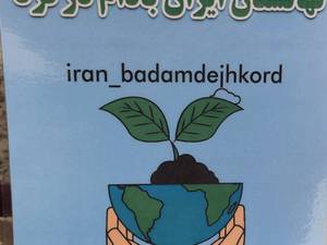 نهال بادام پیوندی دژکرد 