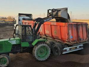 بهترین پوکه معدنی کشور