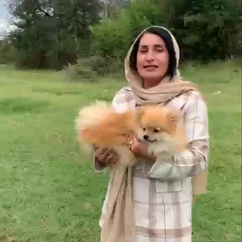 آموزش سگ در منزل خودتان