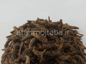 ریشه خربق سفید (سیاه)