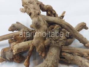 خرید ریشه کبر (کور) 