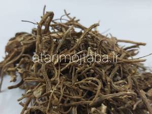 ریشه کرفس 180 گرمی