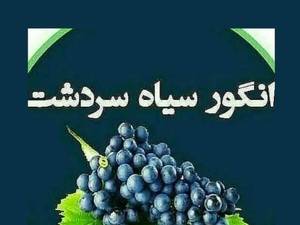  بهترین  معتبرترین نهالستان در سردشت 