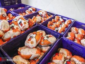 فروش انواع سبد پلاستیکی برای مرغ و ماهی در گلستان