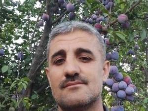 خرید و قیمت نهال در سردشت