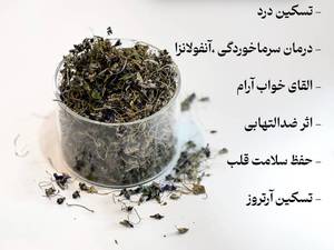 گیاه گل بنفشه خشک اصلی بوشهر