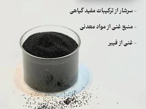 خرید و خواص تخم شربتی 