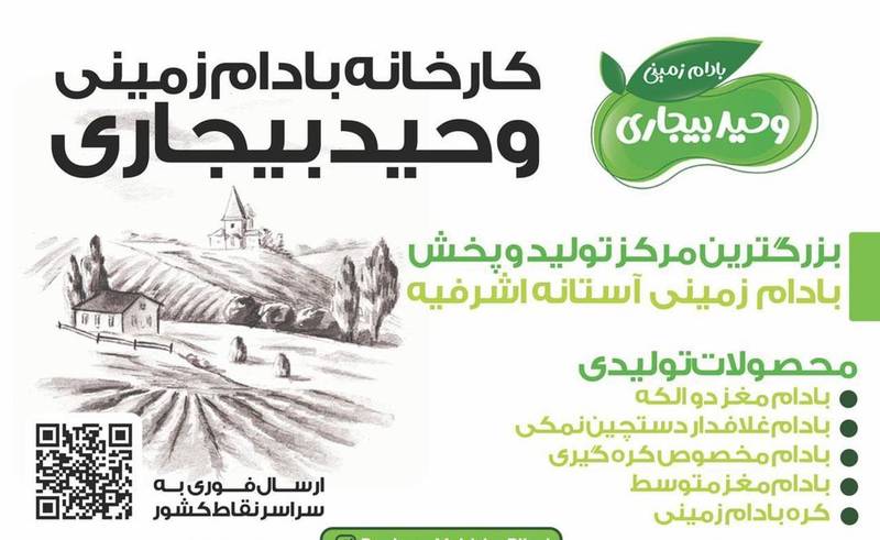 پخش بادام زمینی خام و بوداده آستانه