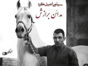 مرکز پرورش اسب کرد در کرمانشاه