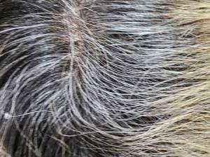 مرکز تخصصی رنگ و لایت در آمل