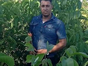تولیدکننده نهال بادام در میاندوآب