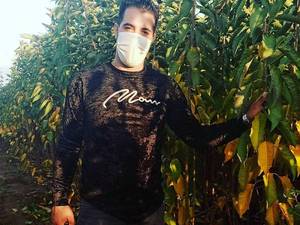 تولید کننده نهال مثمر و غیر مثمر