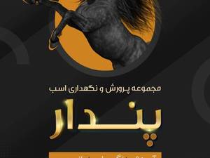 خرید کره مادیان در سیرجان