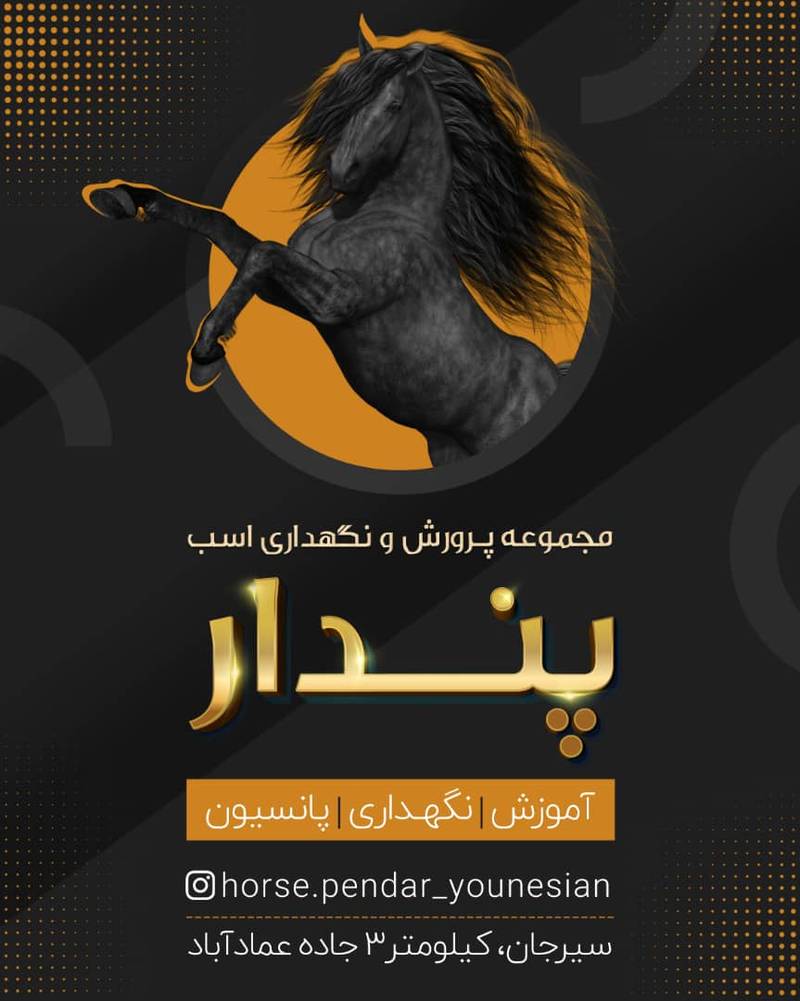خرید کره مادیان در سیرجان