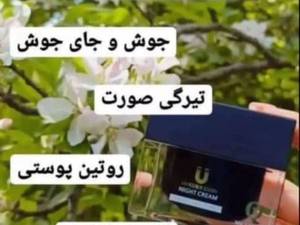 خرید و قیمت کرم شب در تهران