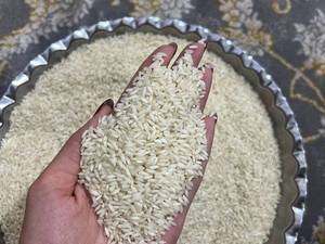مرغوب ترین برنج ایرانی
