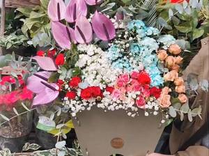 سبد گل بله برون در نور