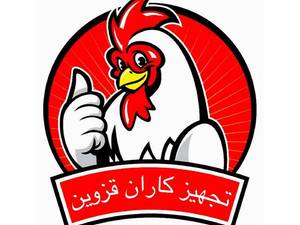 تولید و فروش انواع لوازم مرغداری استان گیلان 