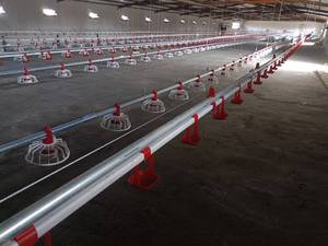 خرید دانخوری و آبخوری مرغداری در اصفهان