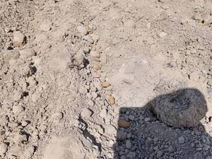 آماده سازی زمین کشاورزی در اقلید
