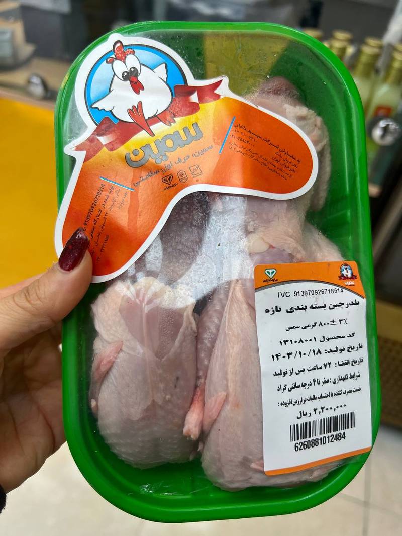 خرید بلدرچین تازه در انزلی