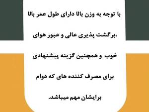 بهترین فوم برای مبلمان و خودرو