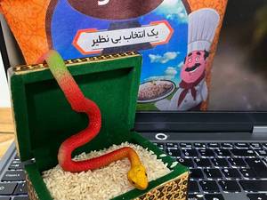 خرید و قیمت برنج جنوبی در شیراز