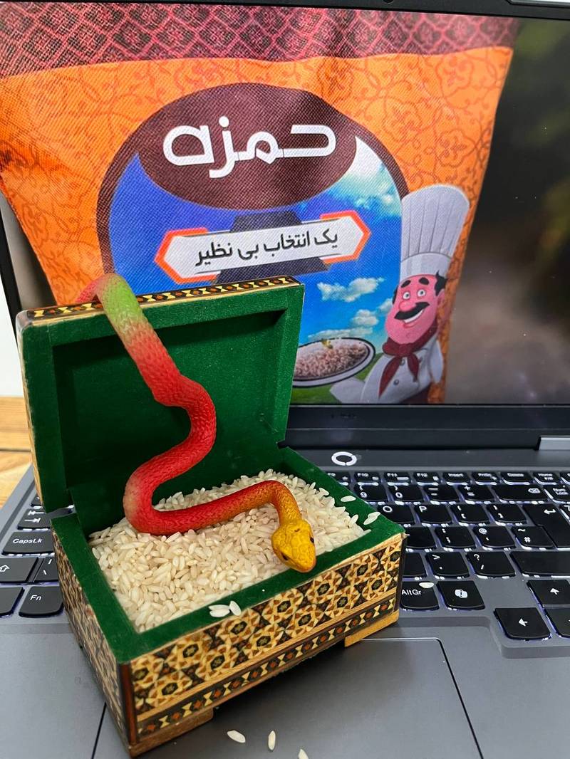 خرید و قیمت برنج جنوبی در شیراز