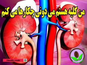 می دونی کلیه چه کار می کنه توی بدنت