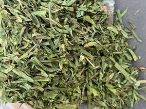 قیمت ترخون خشک شده در شیراز